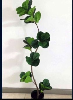 *** CLEARANCE *** 6ft Faux Fiddle Leaf Fig Tree in an 11in (Tall) Green Resin Planter @ Lasting Creations