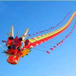 Kite
