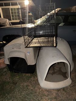 Dog housed $40 each dog crate $20