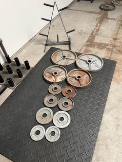 Olympic Weights with Stand