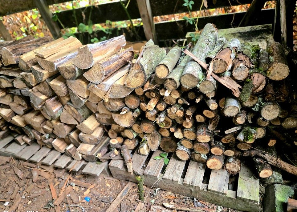 SUPER Dry Maple Fire Wood 