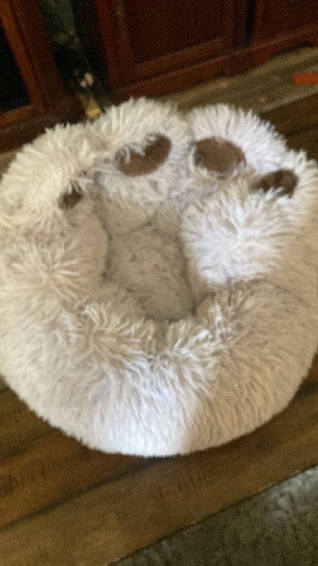 Small dog bed