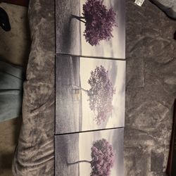 Pictures Set Of 3