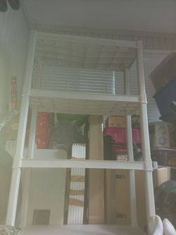 Shelf
