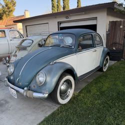 1966 Volkswagen Beetle