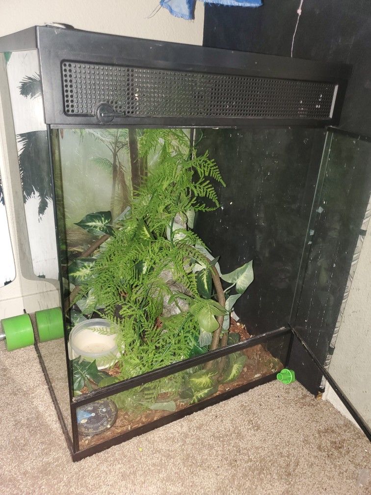 Reptile Terrarium
