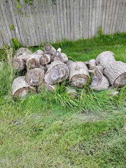 Free firewood