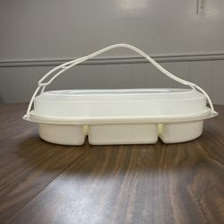 Travel Veggie/Snack Tray