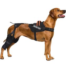 Dog Knee Brace for Torn Acl Hind Leg, Luxating Patella,Arthritis, Cruciate Ligament, Dog Leg Braces for Back Leg for Support (XL)