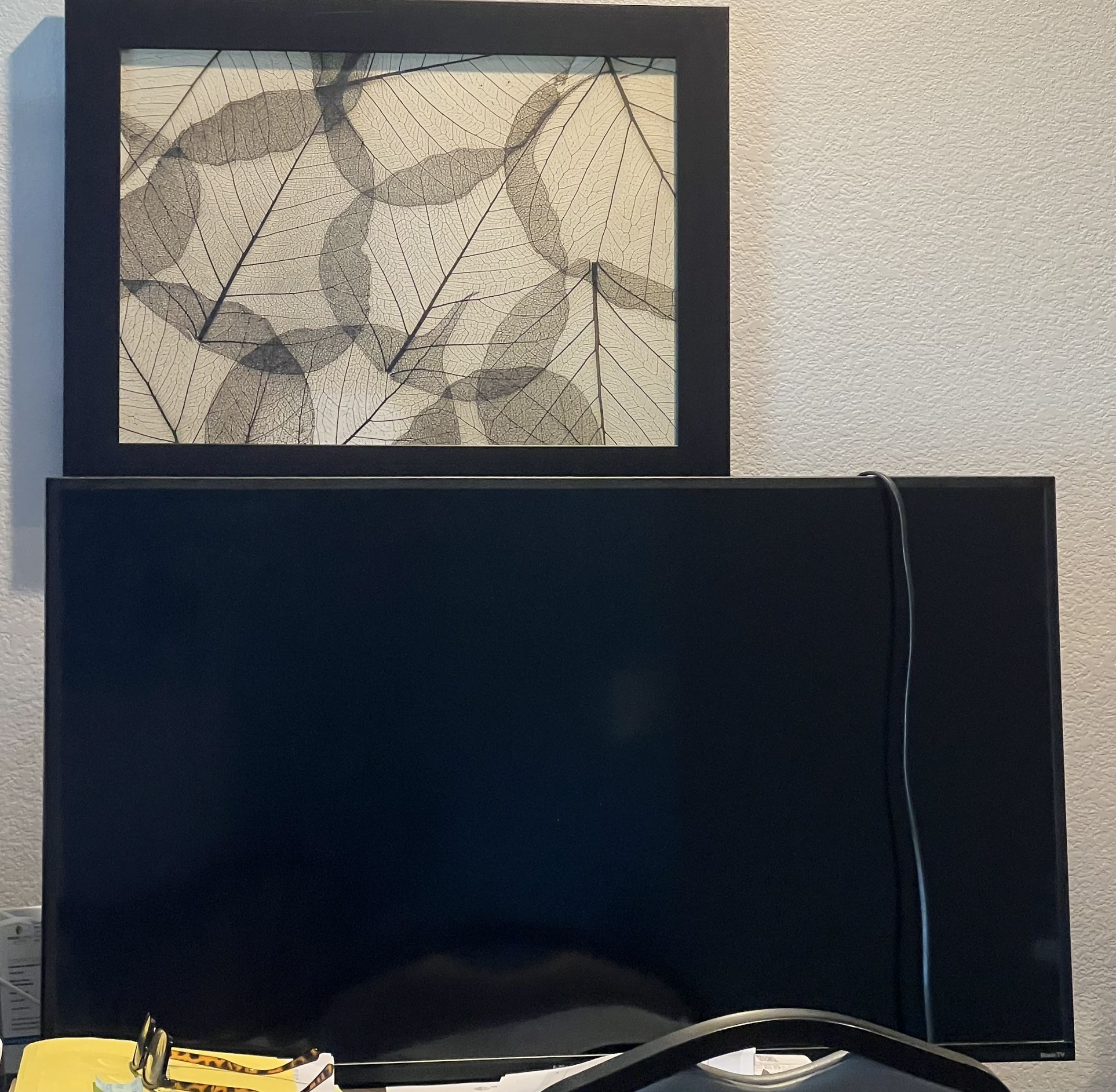 44” Vizio Smart TV w/remote