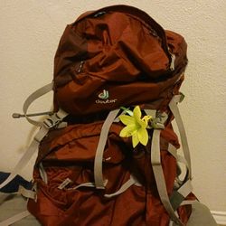 Deuter backpack