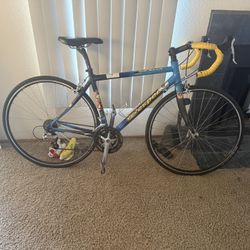 Litespeed 24 Speed Road Bike