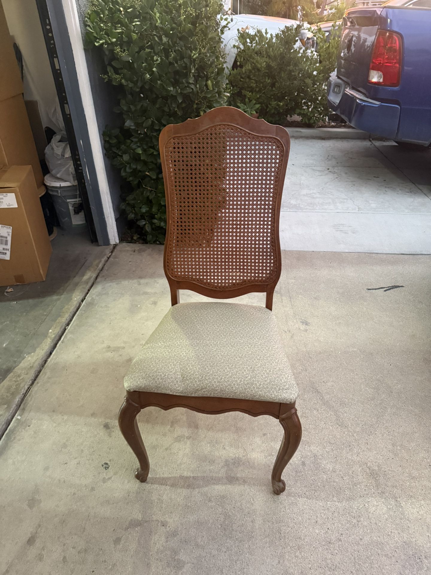 Dinning Chairs 