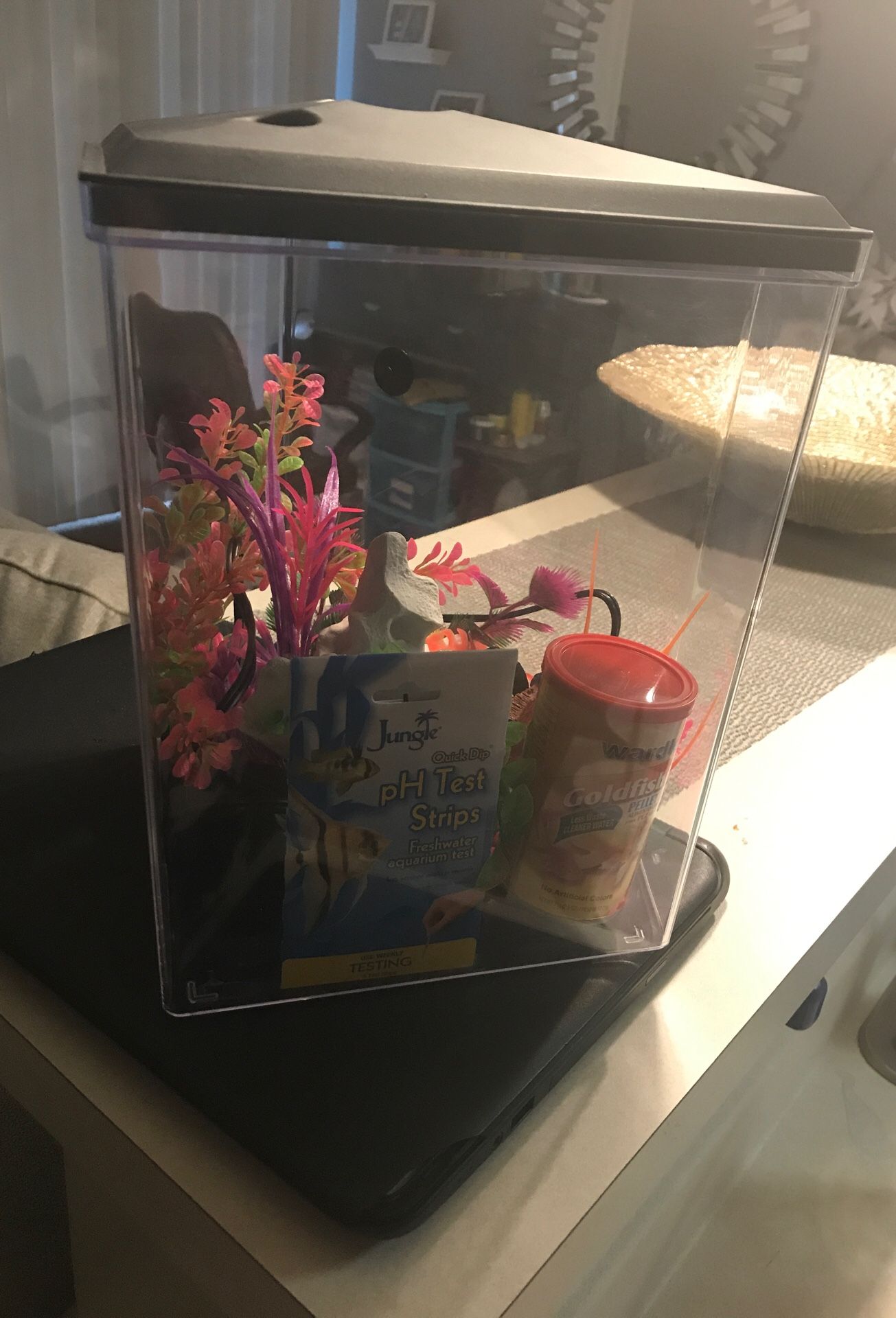 3 gallon fish tank with decor, food and net