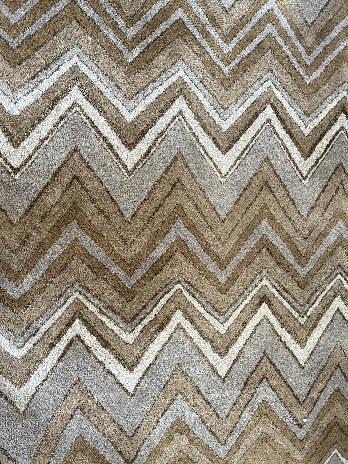 5’x7’ Pottery Barn Carpet
