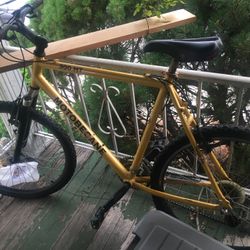 Bike Guitar 