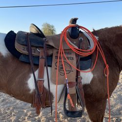 Roping Saddle 16”in