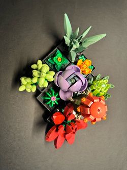 LEGO Succulents (10309)