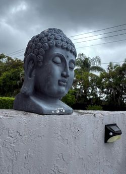 Buddha head and ceramic plant pots