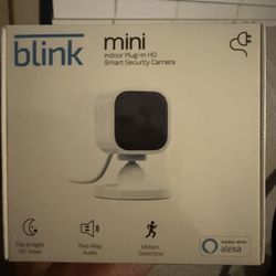 Blink Mini Camera