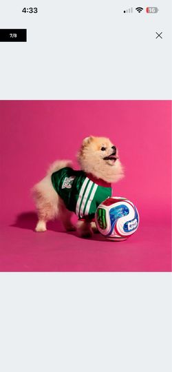 Adidas Pet Jersey Mexico 2026