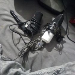 Two Microphones USB