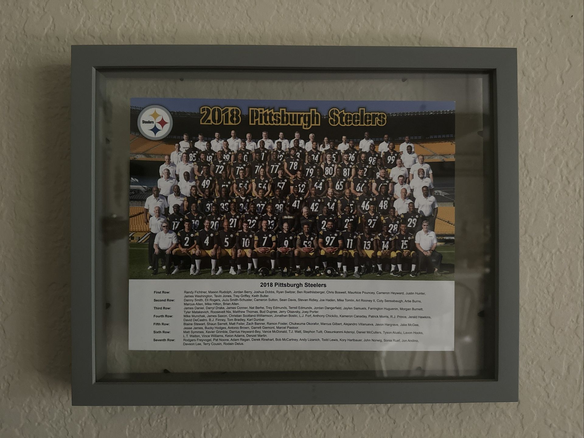 2018 Steelers Team Photo