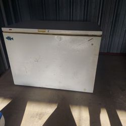 GE DEEP FREEZER