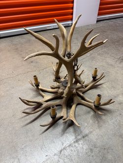 Antler Chandelier Multi-Light Fixture
