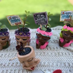 Arrangement Of Succulents Teacher Day 📚💕