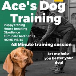Ace's Dog Traning 