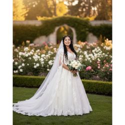 Wedding Photo Video Special 