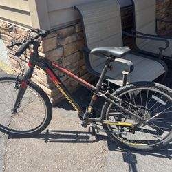 Mens Bike 24” Polygon 