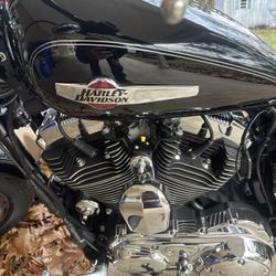 2016 Harley Davidson Sportster 1200