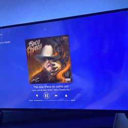 43 Inch TV