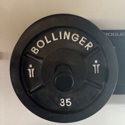 2 Iron BOLLINGER 35lb weight Plates 