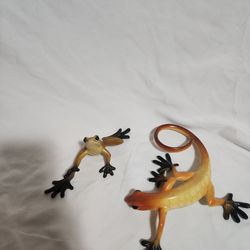 Lizard and frog