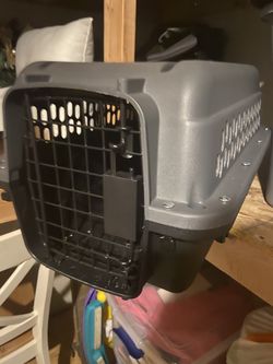 Cat box