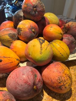 Mangoes