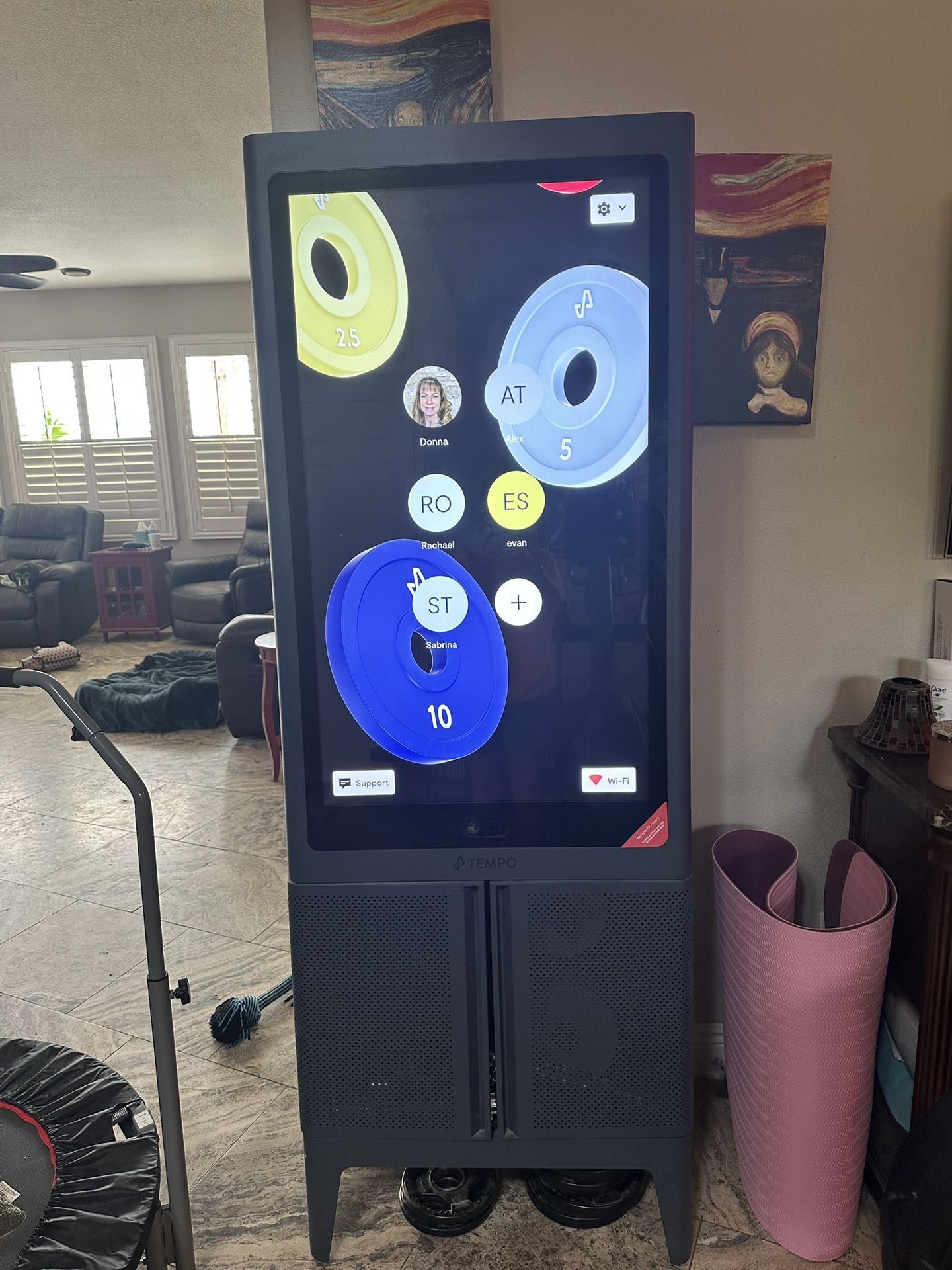 Tempo Mirror Exercise Machine