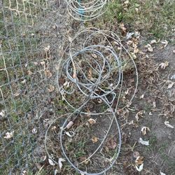 2 Dog Restraints $5 Each 