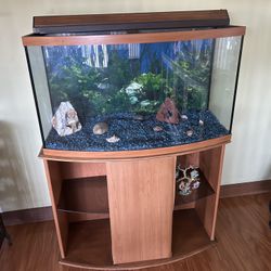 Fish Tank