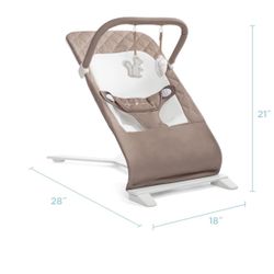 Baby Delight Bouncer 