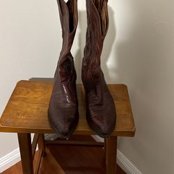 Vintage Tony Lamas Boots