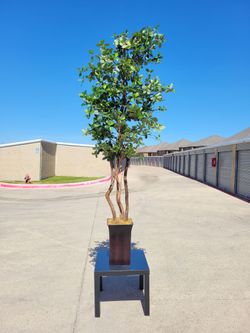 Indoor 8FT Ficus Foe Tree Foliage Home Office Decor w/ Plant Base Box