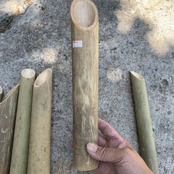Mature Bamboo Stakes