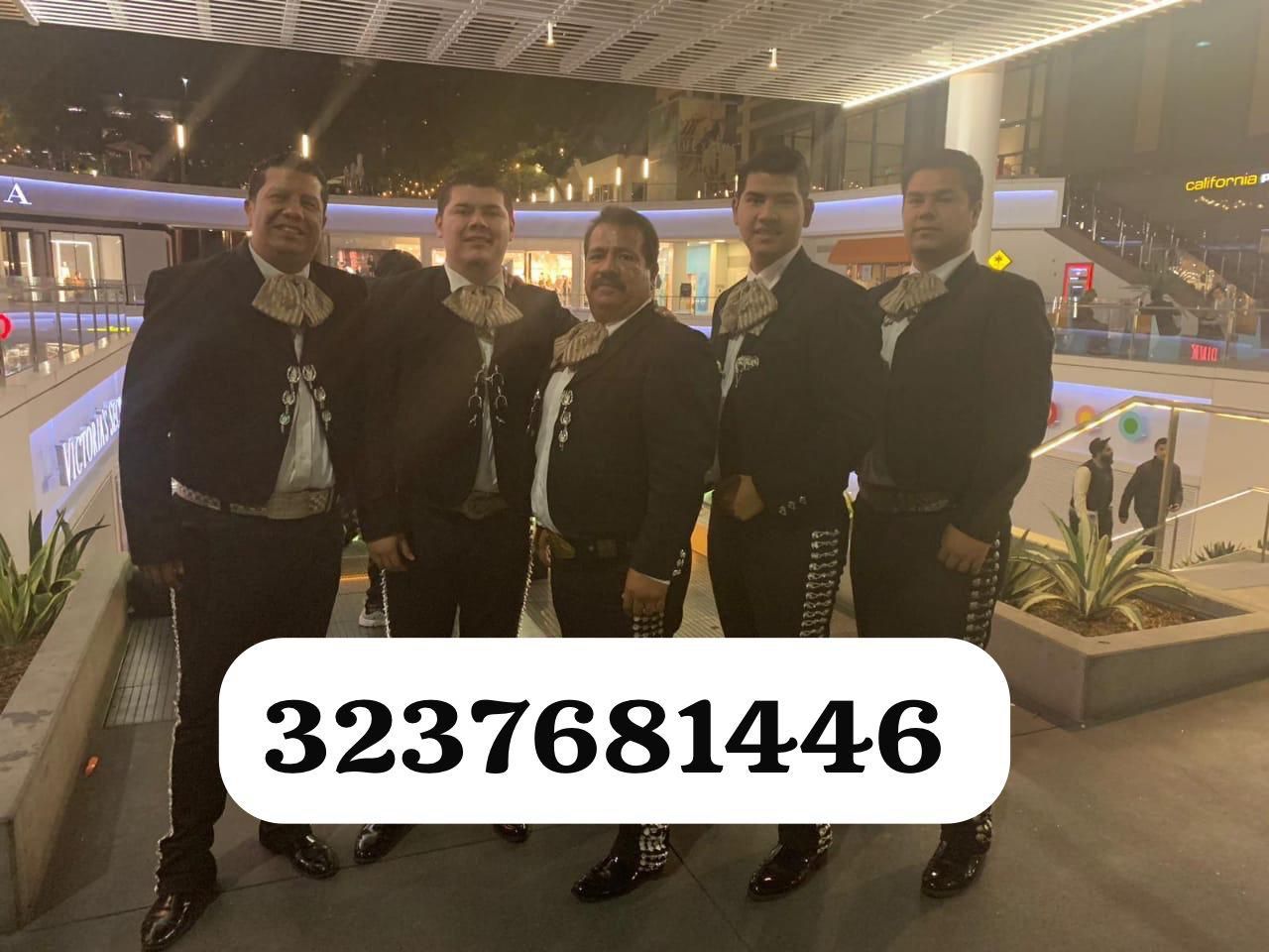 Vihuela Violín Mariachi
