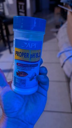 API proper Ph. 8.2