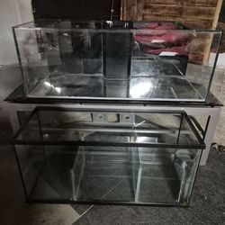 Custom Glass Aquarium w/Sump