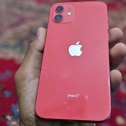 iPhone 12 Unlocked With Warranty 